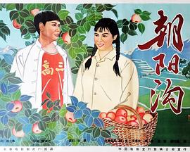 朝阳沟(大结局)