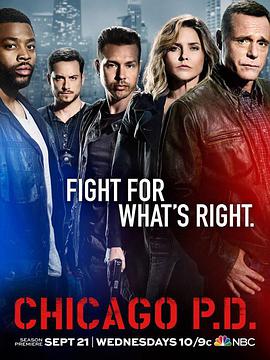 芝加哥警署第四季 第22集