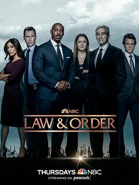 法律与秩序第二十二季 第15集