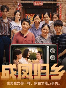 女总裁成凤归乡(全集)