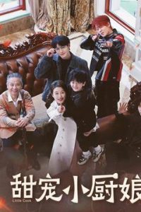 甜宠小厨娘 全集(大结局)