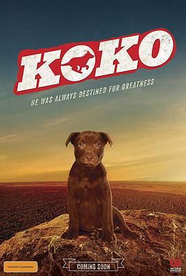 Koko红犬历险记(全集)